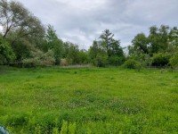 Hauptbild Exklusives Baugrundstück in einmaliger Naturlage - bauträgerfrei an den Haselbacher Teichen